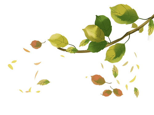 用車子貸款平臺(盜竊案怎么認(rèn)定)? 知識問答 第1張- 用車子貸款平臺(盜竊案怎么認(rèn)定)? (http://www.ssksuo.cn/) 知識問答 第1張