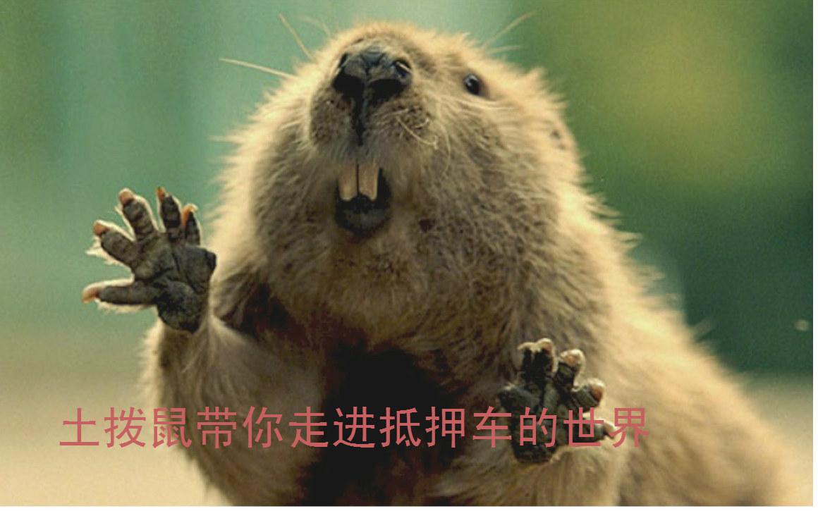 車大本不在怎么做貸款(用車大本貸款安全嗎)? 知識(shí)問答 第1張- 車大本不在怎么做貸款(用車大本貸款安全嗎)? (http://www.ssksuo.cn/) 知識(shí)問答 第1張