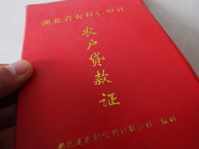 車子想貸款怎么貸(車貸款好了怎么辦手續(xù))? 知識問答 第1張- 車子想貸款怎么貸(車貸款好了怎么辦手續(xù))? (http://www.ssksuo.cn/) 知識問答 第1張