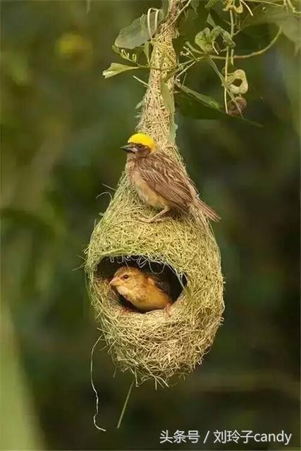 上海浦東汽車抵押貸款(上海汽車抵押貸款哪個(gè)平臺(tái)好)? 知識(shí)問答 第2張- 上海浦東汽車抵押貸款(上海汽車抵押貸款哪個(gè)平臺(tái)好)? (http://www.ssksuo.cn/) 知識(shí)問答 第2張