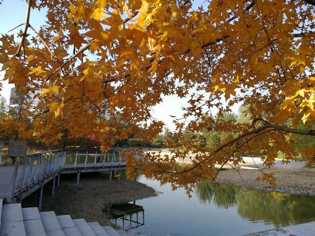 征信有逾期用車子怎么貸款(征信有車貸逾期可以貸款買房嗎)? 知識問答 第1張- 征信有逾期用車子怎么貸款(征信有車貸逾期可以貸款買房嗎)? (http://www.ssksuo.cn/) 知識問答 第1張