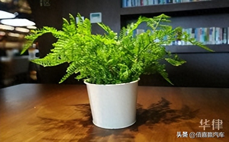 押車借錢需要啥手續(xù)(押車貸款需要什么資料)? 知識(shí)問答 第1張- 押車借錢需要啥手續(xù)(押車貸款需要什么資料)? (http://www.ssksuo.cn/) 知識(shí)問答 第1張