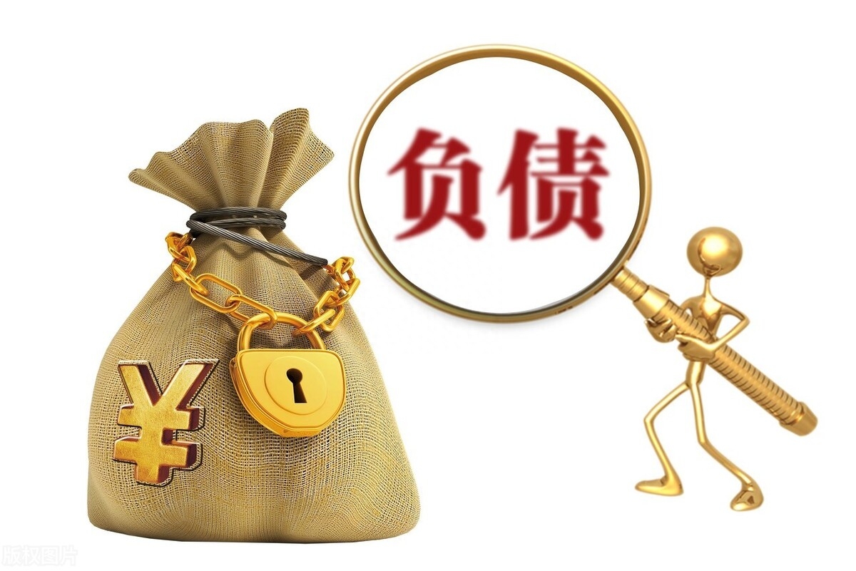 不看負(fù)債和征信的貸款(征信報(bào)告看負(fù)債)? 知識問答 第3張- 不看負(fù)債和征信的貸款(征信報(bào)告看負(fù)債)? (http://www.ssksuo.cn/) 知識問答 第3張