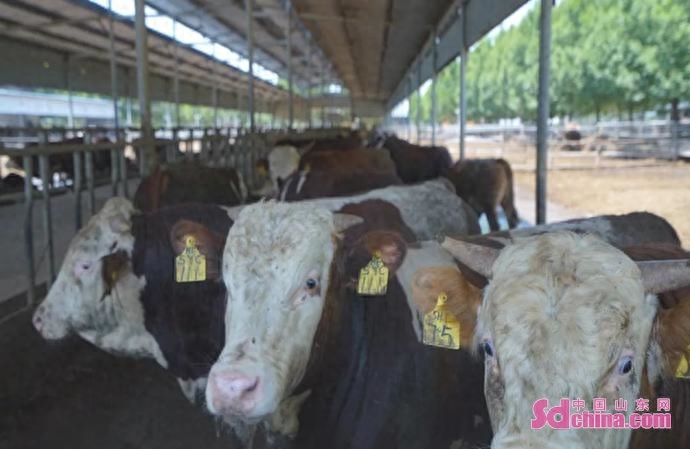 車抵押融資(抵押車融資什么意思)? 知識問答 第2張- 車抵押融資(抵押車融資什么意思)? (http://www.ssksuo.cn/) 知識問答 第2張