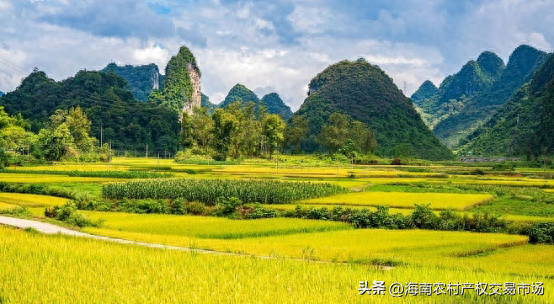 車輛抵押融資(土地違規(guī)抵押融資整改)? 知識(shí)問答 第2張- 車輛抵押融資(土地違規(guī)抵押融資整改)? (http://www.ssksuo.cn/) 知識(shí)問答 第2張