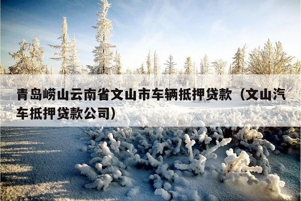 蘇州金山汽車(chē)抵押融資(涉土地違規(guī)抵押融資)? (http://www.ssksuo.cn/) 知識(shí)問(wèn)答 第1張