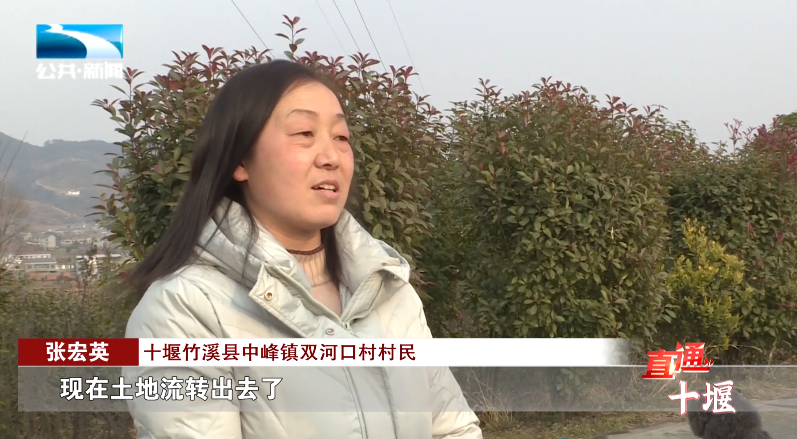 汽車抵押融資哪里好(車輛抵押融資)? 知識(shí)問(wèn)答 第11張- 汽車抵押融資哪里好(車輛抵押融資)? (http://www.ssksuo.cn/) 知識(shí)問(wèn)答 第11張