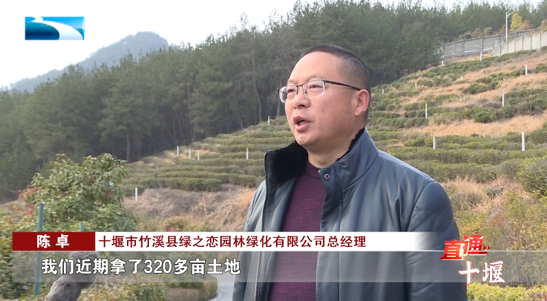 汽車抵押融資哪里好(車輛抵押融資)? 知識(shí)問(wèn)答 第14張- 汽車抵押融資哪里好(車輛抵押融資)? (http://www.ssksuo.cn/) 知識(shí)問(wèn)答 第14張