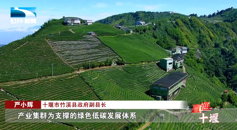 汽車抵押融資哪里好(車輛抵押融資)? 知識(shí)問(wèn)答 第15張- 汽車抵押融資哪里好(車輛抵押融資)? (http://www.ssksuo.cn/) 知識(shí)問(wèn)答 第15張