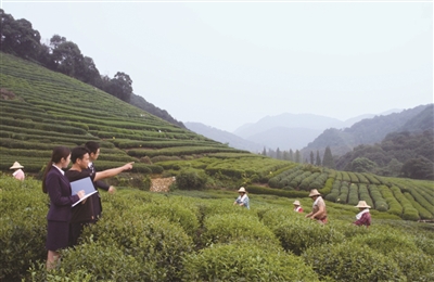 杭州小額融資(融資擔(dān)保公司和小額貸)? (http://www.ssksuo.cn/) 知識問答 第1張