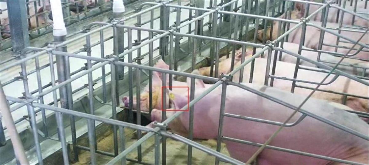 有哪些融資平臺(tái)可以抵押車的(抵押車融資什么意思)? (http://www.ssksuo.cn/) 知識(shí)問答 第1張