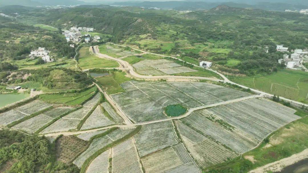 蘇州正規(guī)汽車抵押融資押證不押車(蘇州汽車融資貸款公司)? (http://www.ssksuo.cn/) 知識問答 第4張