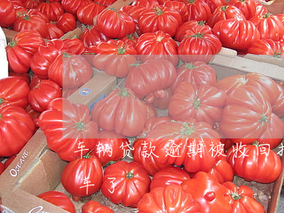 車抵押貸(抵押貸車子怎么評(píng)估)? (http://www.ssksuo.cn/) 知識(shí)問答 第2張