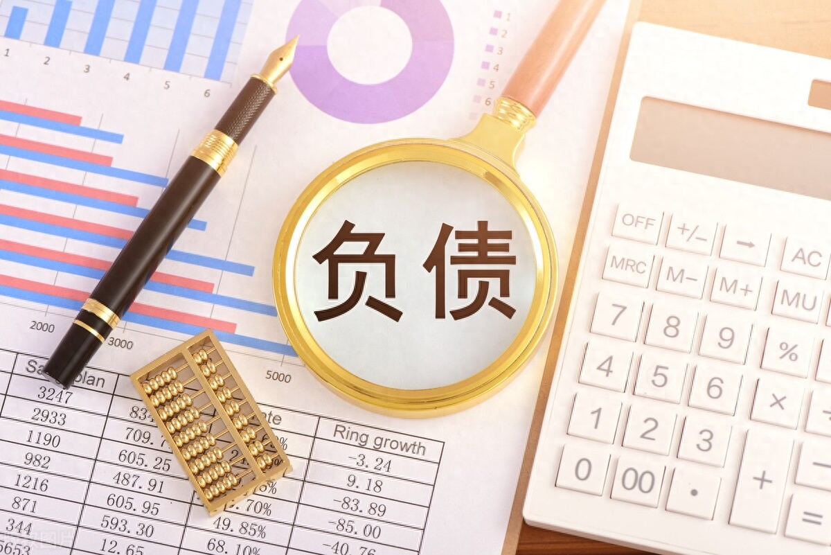 不查征信和負(fù)債的正規(guī)貸款(負(fù)債征信查詢)? (http://www.ssksuo.cn/) 知識問答 第3張