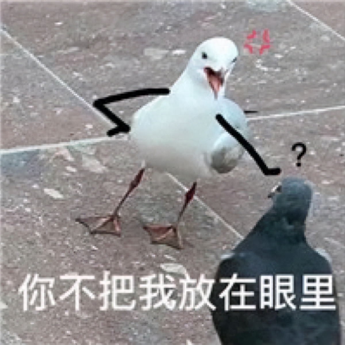 不押車(chē)不看征信貸款(押車(chē)貸款看征信嗎)? 知識(shí)問(wèn)答 第1張- 不押車(chē)不看征信貸款(押車(chē)貸款看征信嗎)? (http://www.ssksuo.cn/) 知識(shí)問(wèn)答 第1張