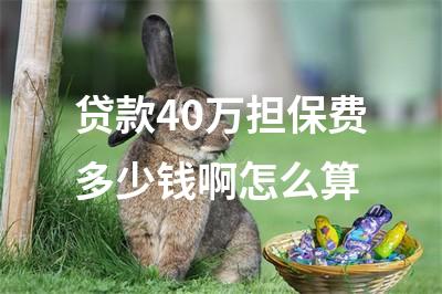 貸款擔(dān)保公司一般怎么收費(fèi)(擔(dān)保收費(fèi)貸款一般公司有哪些)? (http://www.ssksuo.cn/) 知識(shí)問答 第1張