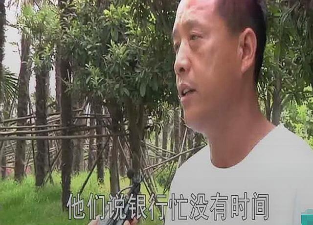 抵押汽車綠本能貸多少錢(車輛抵押綠本可以借出來嗎)? 知識(shí)問答 第2張- 抵押汽車綠本能貸多少錢(車輛抵押綠本可以借出來嗎)? (http://www.ssksuo.cn/) 知識(shí)問答 第2張