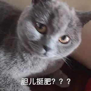 閔行區(qū)那里有車子抵押貸款的(上海汽車抵押貸)? 知識問答 第1張- 閔行區(qū)那里有車子抵押貸款的(上海汽車抵押貸)? (http://www.ssksuo.cn/) 知識問答 第1張