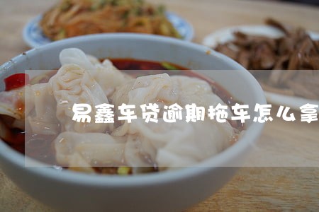 易鑫車貸(易鑫車貸款)? 知識問答 第1張- 易鑫車貸(易鑫車貸款)? (http://www.ssksuo.cn/) 知識問答 第1張