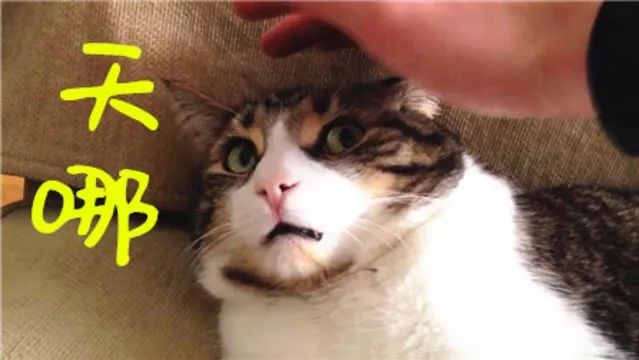 汽車(chē)網(wǎng)上抵押貸款平臺(tái)(在線抵押車(chē)貸款)? 知識(shí)問(wèn)答 第4張- 汽車(chē)網(wǎng)上抵押貸款平臺(tái)(在線抵押車(chē)貸款)? (http://www.ssksuo.cn/) 知識(shí)問(wèn)答 第4張