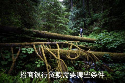 行駛證貸款(機動車行駛證貸款)? 知識問答 第2張- 行駛證貸款(機動車行駛證貸款)? (http://www.ssksuo.cn/) 知識問答 第2張