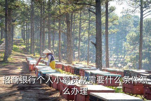 行駛證貸款(機動車行駛證貸款)? 知識問答 第3張- 行駛證貸款(機動車行駛證貸款)? (http://www.ssksuo.cn/) 知識問答 第3張