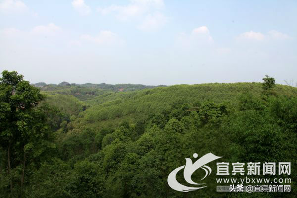 宜賓汽車抵押貸款(宜賓抵押車價(jià)格)? 知識(shí)問答 第3張- 宜賓汽車抵押貸款(宜賓抵押車價(jià)格)? (http://www.ssksuo.cn/) 知識(shí)問答 第3張