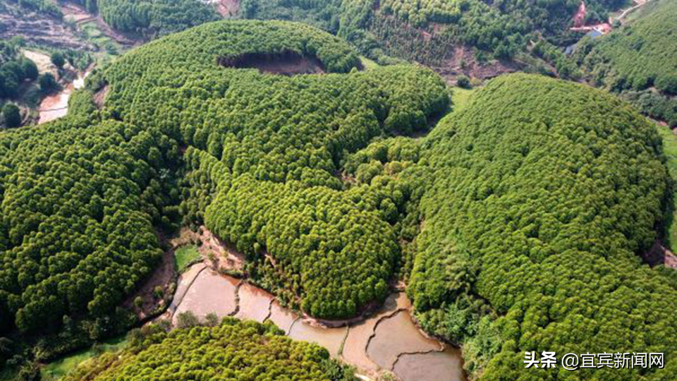 宜賓汽車抵押貸款(宜賓抵押車價(jià)格)? 知識(shí)問答 第4張- 宜賓汽車抵押貸款(宜賓抵押車價(jià)格)? (http://www.ssksuo.cn/) 知識(shí)問答 第4張