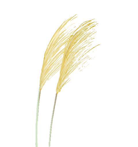 機(jī)器設(shè)備抵押貸款(設(shè)備抵押銀行貸款)? 知識(shí)問(wèn)答 第2張- 機(jī)器設(shè)備抵押貸款(設(shè)備抵押銀行貸款)? (http://www.ssksuo.cn/) 知識(shí)問(wèn)答 第2張