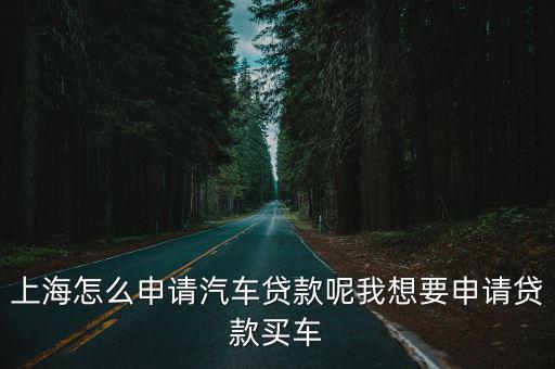 上海車牌貸款怎樣申請(上海車牌貸款申請了能取消嗎)? 知識問答 第1張- 上海車牌貸款怎樣申請(上海車牌貸款申請了能取消嗎)? (http://www.ssksuo.cn/) 知識問答 第1張