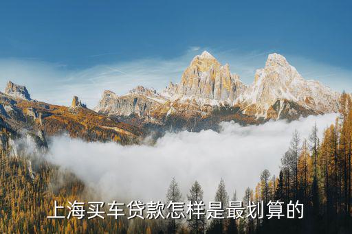 上海車牌貸款怎樣申請(上海車牌貸款申請了能取消嗎)? 知識問答 第2張- 上海車牌貸款怎樣申請(上海車牌貸款申請了能取消嗎)? (http://www.ssksuo.cn/) 知識問答 第2張