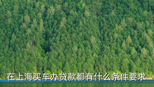 上海車牌貸款怎樣申請(上海車牌貸款申請了能取消嗎)? 知識問答 第3張- 上海車牌貸款怎樣申請(上海車牌貸款申請了能取消嗎)? (http://www.ssksuo.cn/) 知識問答 第3張
