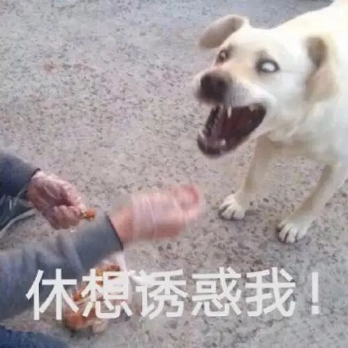 第三方車輛抵押貸款靠譜嗎%3F(三方抵押車可以買嗎)? 知識(shí)問答 第2張- 第三方車輛抵押貸款靠譜嗎%3F(三方抵押車可以買嗎)? (http://www.ssksuo.cn/) 知識(shí)問答 第2張