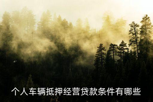 公司車抵押(抵押車公司戶好還是個(gè)人戶好)? 知識(shí)問答 第2張- 公司車抵押(抵押車公司戶好還是個(gè)人戶好)? (http://www.ssksuo.cn/) 知識(shí)問答 第2張