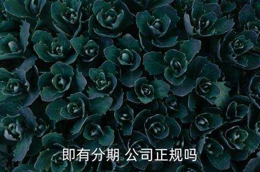 你借我貸是正規(guī)貸款公司嗎(正規(guī)貸款公司貸款)? (http://www.ssksuo.cn/) 知識(shí)問(wèn)答 第3張