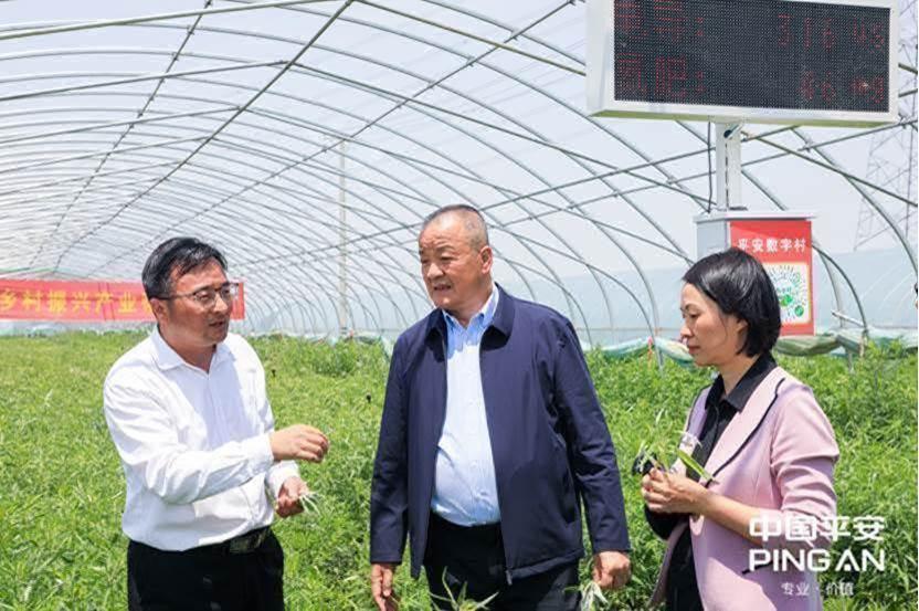 平安普惠(普惠平安保險)? (http://www.ssksuo.cn/) 知識問答 第22張