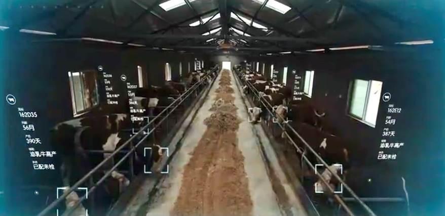 平安普惠(普惠平安保險)? (http://www.ssksuo.cn/) 知識問答 第4張