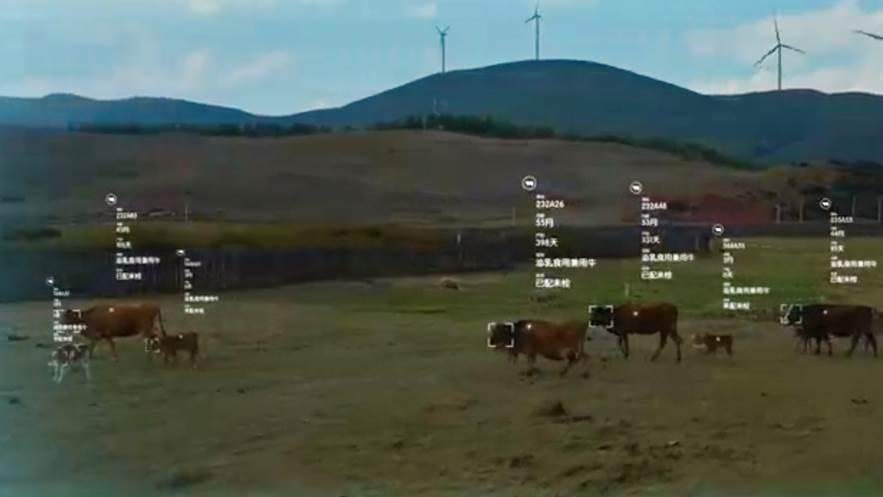 平安普惠(普惠平安保險)? (http://www.ssksuo.cn/) 知識問答 第5張