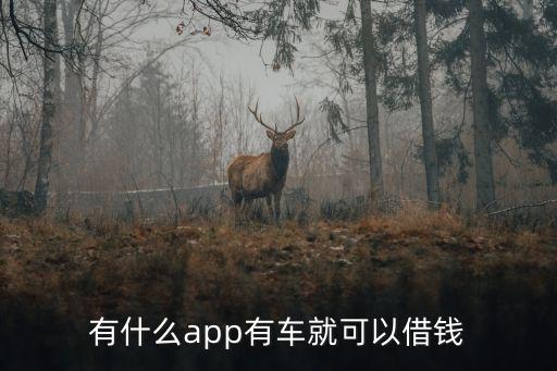 什么軟件可以代還車貸(貸代車軟件可以注銷嗎)? 知識問答 第2張- 什么軟件可以代還車貸(貸代車軟件可以注銷嗎)? (http://www.ssksuo.cn/) 知識問答 第2張