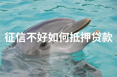 征信不好不押車貸款(押征信貸款車好過戶嗎)? 知識問答 第1張- 征信不好不押車貸款(押征信貸款車好過戶嗎)? (http://www.ssksuo.cn/) 知識問答 第1張