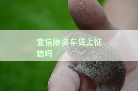 易車貸(易車貸)? 知識問答 第1張- 易車貸(易車貸)? (http://www.ssksuo.cn/) 知識問答 第1張