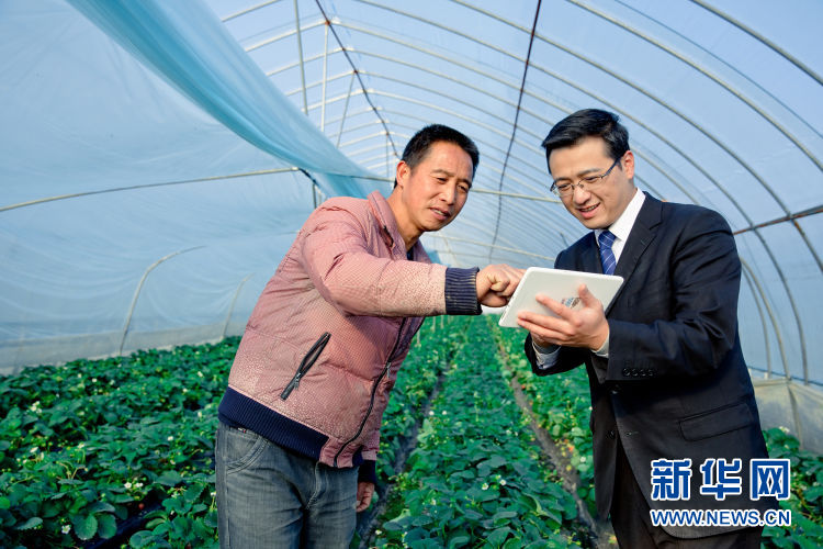 車抵貸不看征信哪幾家好(汽車抵押貸款征信)? (http://www.ssksuo.cn/) 知識問答 第1張