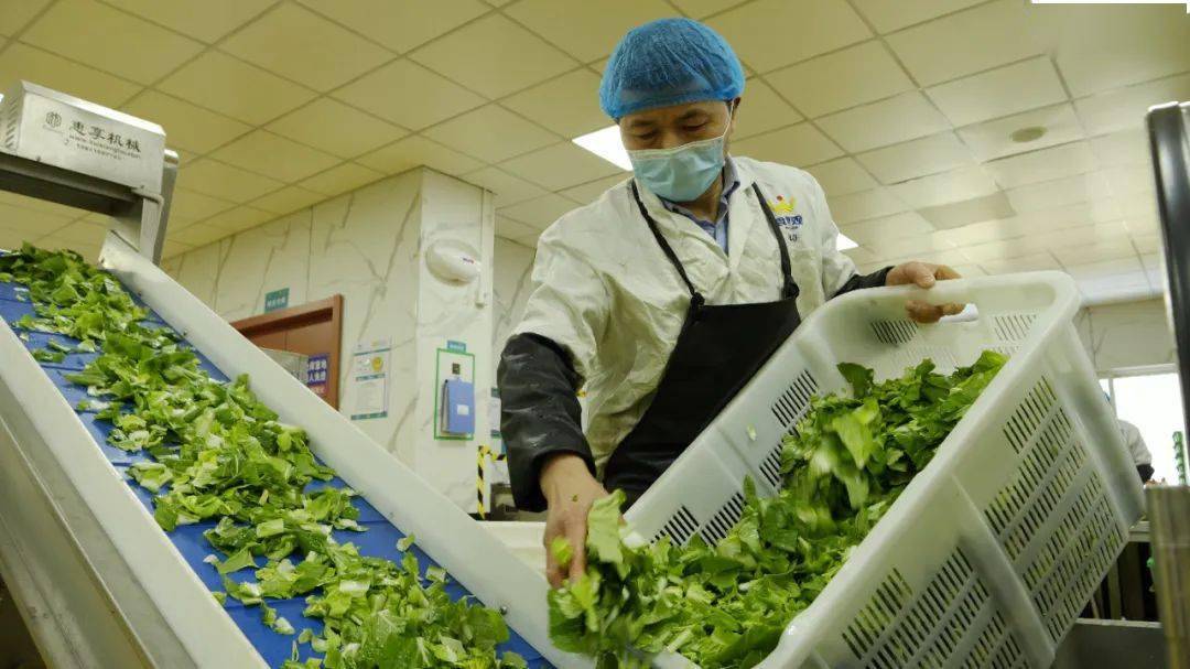 嘉定區(qū)車子抵押貸款公司(上海車抵押公司)? 知識(shí)問(wèn)答 第2張- 嘉定區(qū)車子抵押貸款公司(上海車抵押公司)? (http://www.ssksuo.cn/) 知識(shí)問(wèn)答 第2張