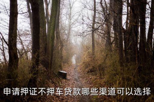 車子抵押貸款不押車(抵押車貸款風(fēng)險大嗎)? 知識問答 第3張- 車子抵押貸款不押車(抵押車貸款風(fēng)險大嗎)? (http://www.ssksuo.cn/) 知識問答 第3張