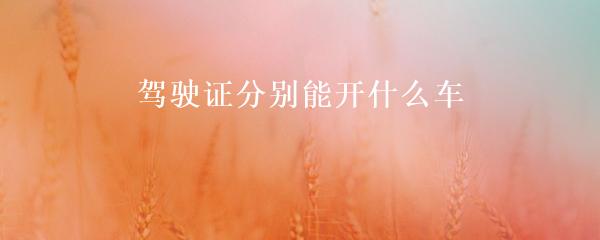 民間貸款公司(民間借貸的公司)? 知識問答 第3張- 民間貸款公司(民間借貸的公司)? (http://www.ssksuo.cn/) 知識問答 第3張