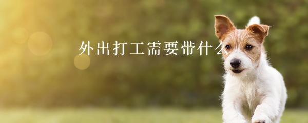 民間貸款公司(民間借貸的公司)? 知識問答 第21張- 民間貸款公司(民間借貸的公司)? (http://www.ssksuo.cn/) 知識問答 第21張
