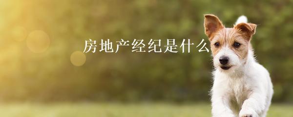 民間貸款公司(民間借貸的公司)? 知識問答 第22張- 民間貸款公司(民間借貸的公司)? (http://www.ssksuo.cn/) 知識問答 第22張