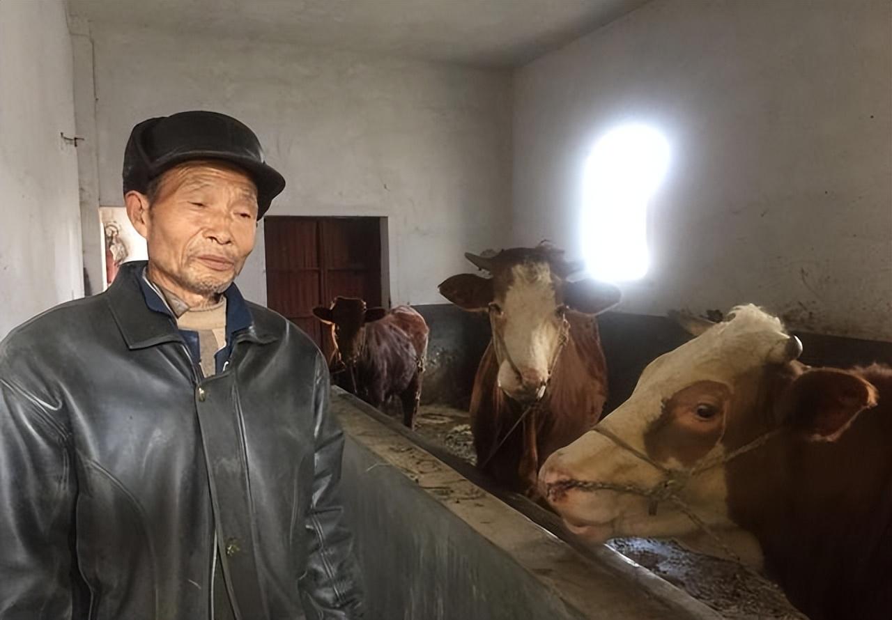 普通人怎么貸款5萬(如何貸款20萬普通人)? 知識問答 第2張- 普通人怎么貸款5萬(如何貸款20萬普通人)? (http://www.ssksuo.cn/) 知識問答 第2張