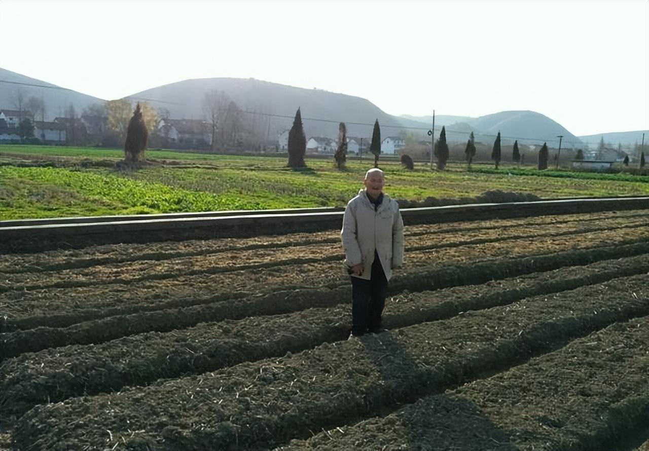 普通人怎么貸款5萬(如何貸款20萬普通人)? 知識問答 第4張- 普通人怎么貸款5萬(如何貸款20萬普通人)? (http://www.ssksuo.cn/) 知識問答 第4張