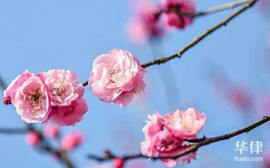 車輛抵押貸款不看征信(抵押征信貸款車輛看征信嗎)? 知識問答 第1張- 車輛抵押貸款不看征信(抵押征信貸款車輛看征信嗎)? (http://www.ssksuo.cn/) 知識問答 第1張